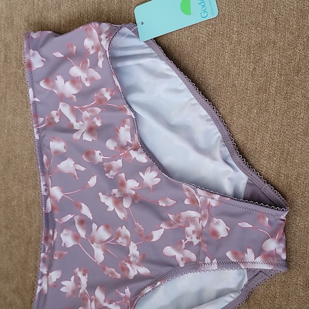Goddess Silky Panties NWT
